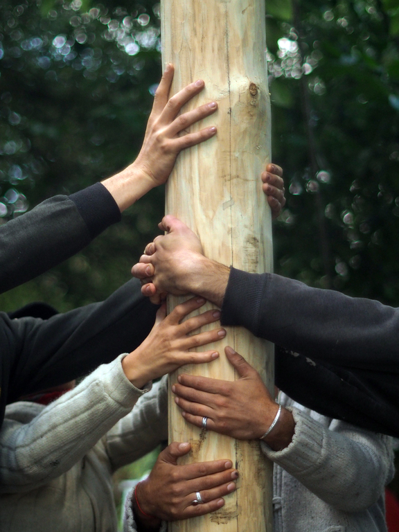 Mains embrassant un arbre