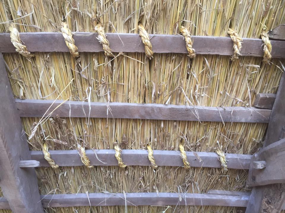 Stitching the thatch with wheat ropes